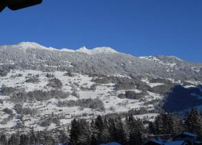 Ausblick im Winter (c) Manfred Schlatter 